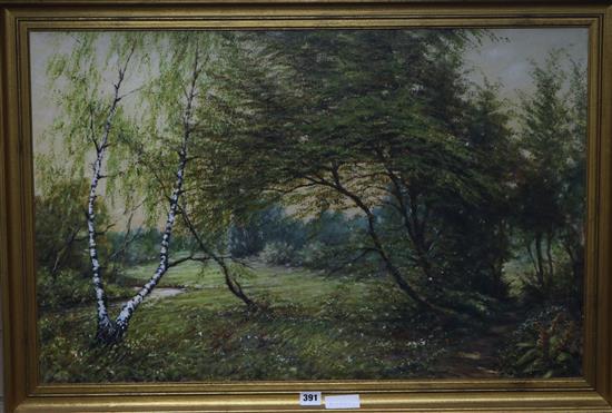 Kowalski, oil on canvas, birch tree in a landscape, 52 x 80cm